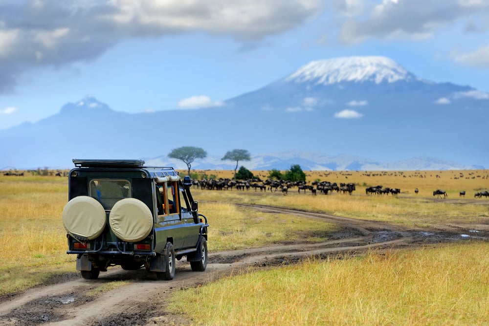 Cinq raisons de partir en vacances au Kenya