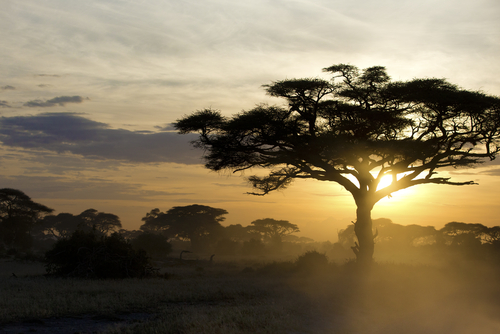 Comment économiser gros lors de la planification d'une tournée en Afrique .... seul !