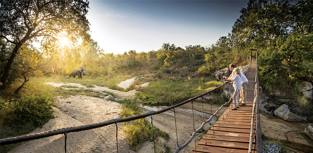 Faites une promenade sur le côté sauvage de la réserve de Sabi Sands