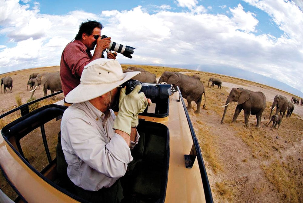 Les 5 meilleurs conseils pour photographier les animaux en Afrique