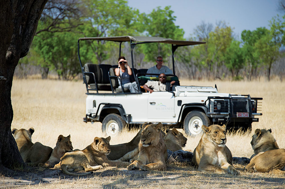 Les meilleurs parcs nationaux et sites historiques du Zimbabwe