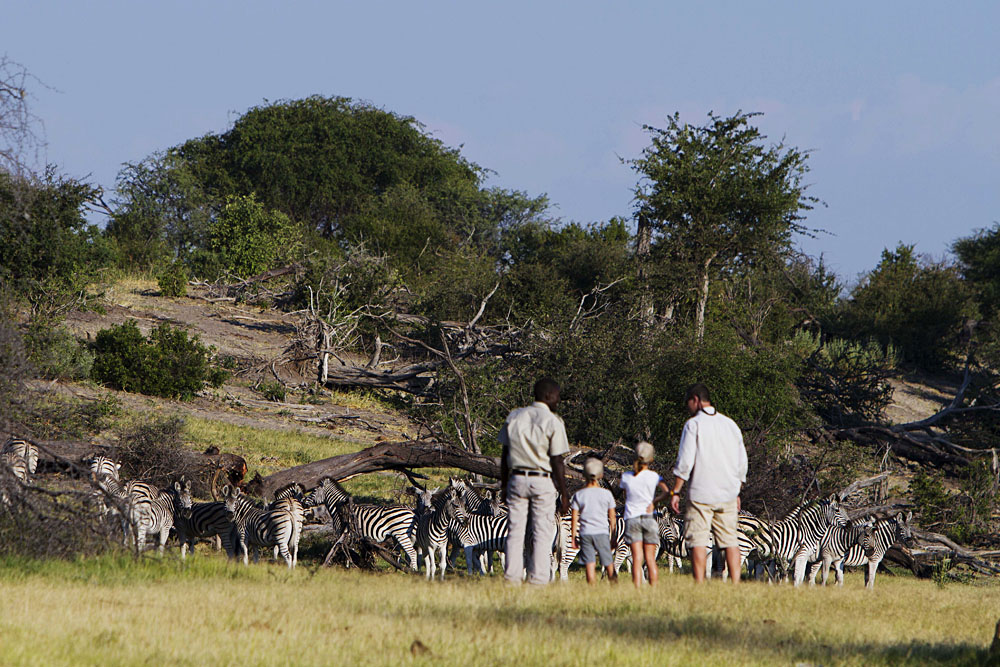 L'ultime safari familial au Botswana