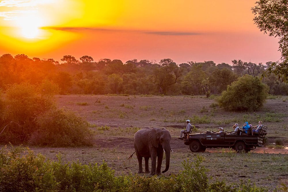 Mois après mois dans le Kruger Bushveld, Afrique du Sud