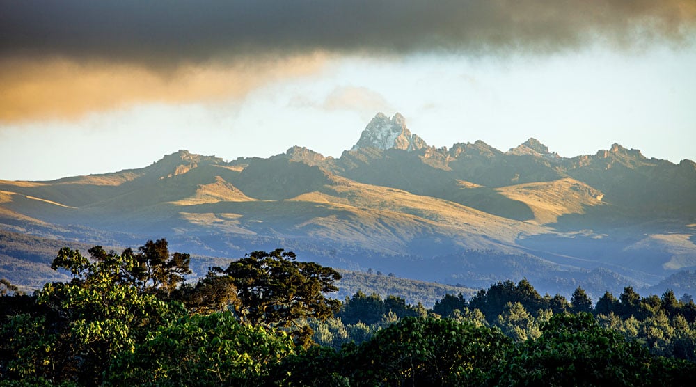 Parc national du Mont Kenya - Marche, escalade et observation des animaux