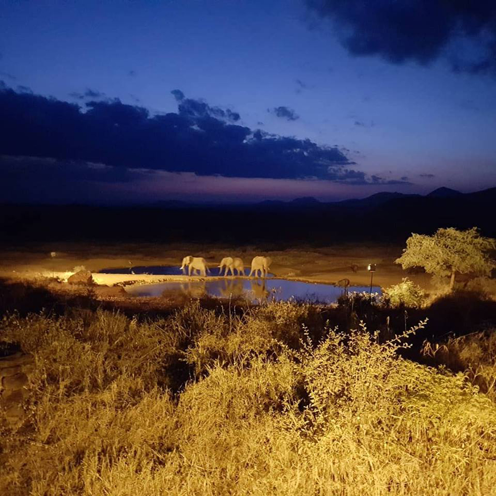 Sur un safari au Kenya à Tsavo West
