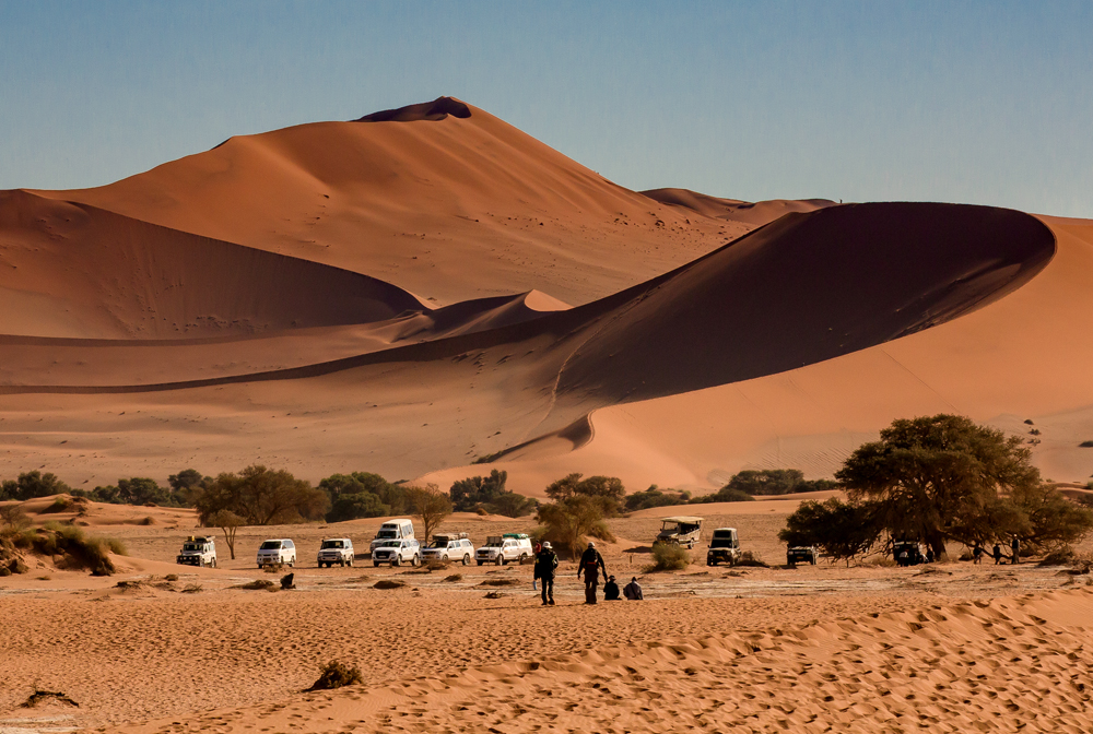 Tamiser les sables de Namibie dans un safari africain