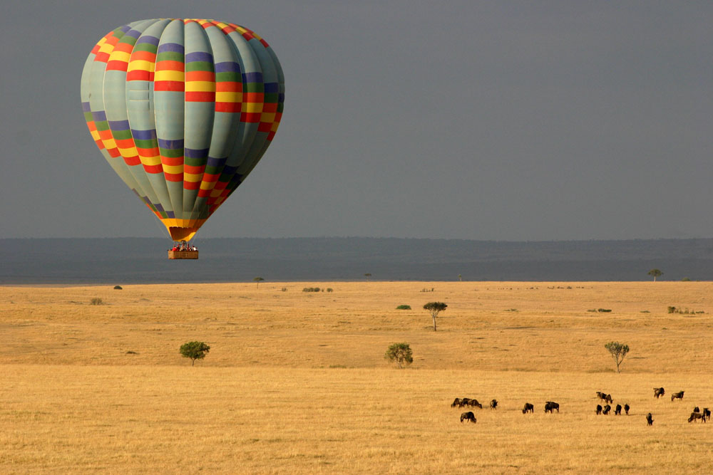 Un safari en montgolfière