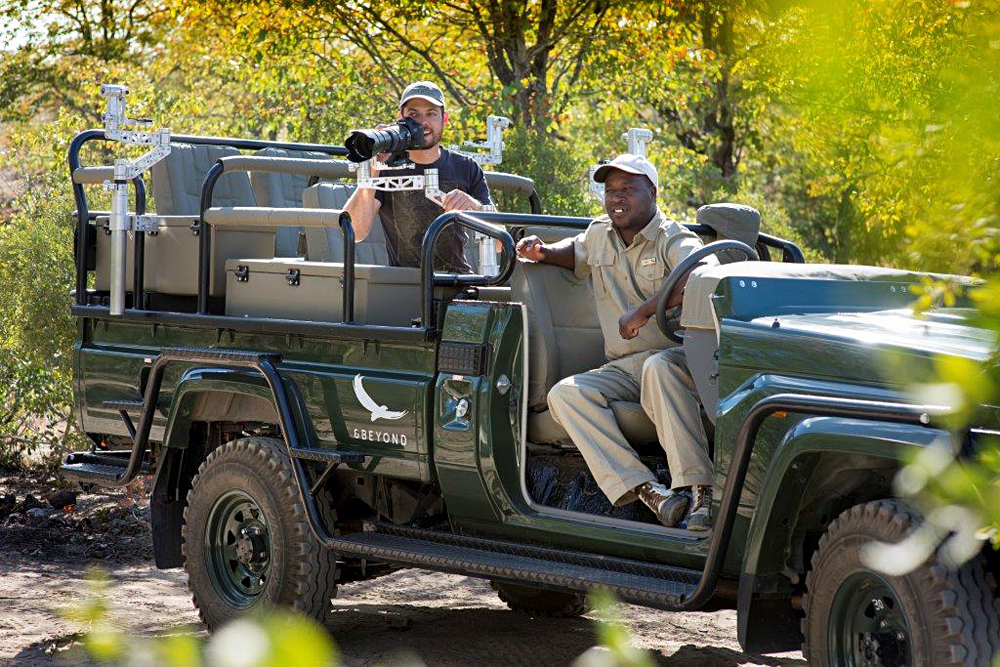 Zoom avant pour un safari photographique en Afrique du Sud