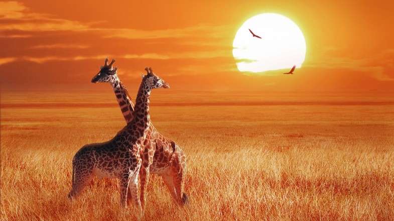 La Tanzanie en juin : Météo, conseils et plaisirs de la plage - img
