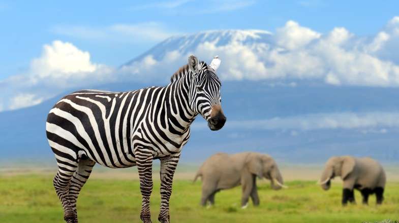 Le Kenya en mai : Conseils pour voyager en basse saison - img