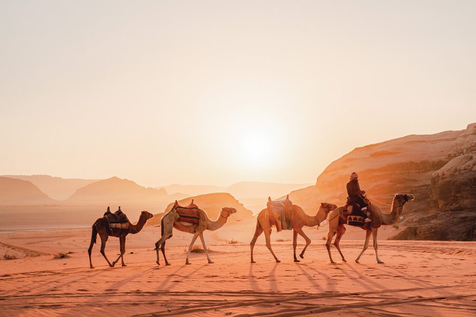 Les joyaux cachés de la Jordanie - img